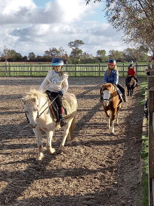 Paardrijden op de boerderij